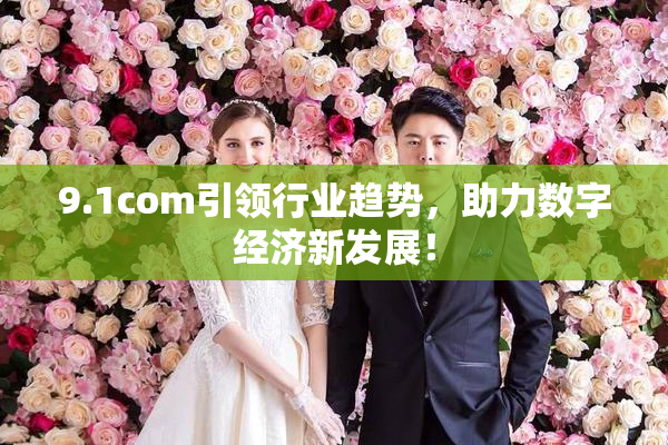 9.1com引领行业趋势，助力数字经济新发展！