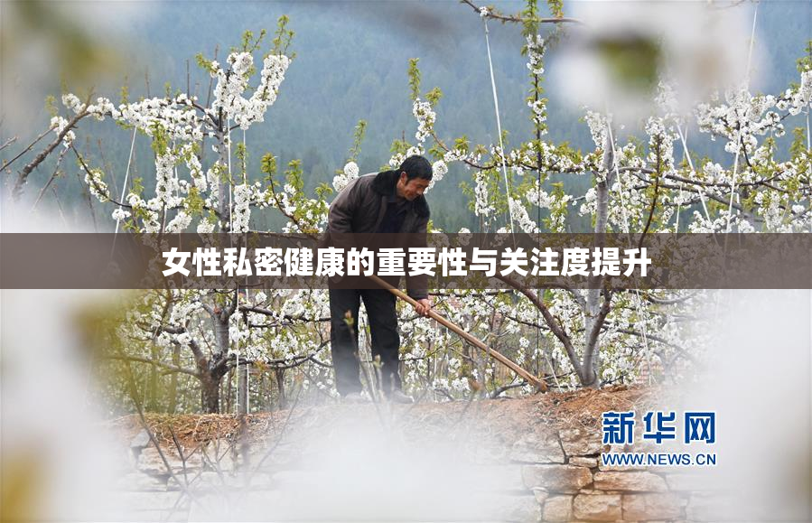 女性私密健康的重要性与关注度提升