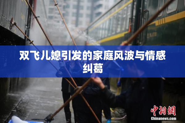 双飞儿媳引发的家庭风波与情感纠葛