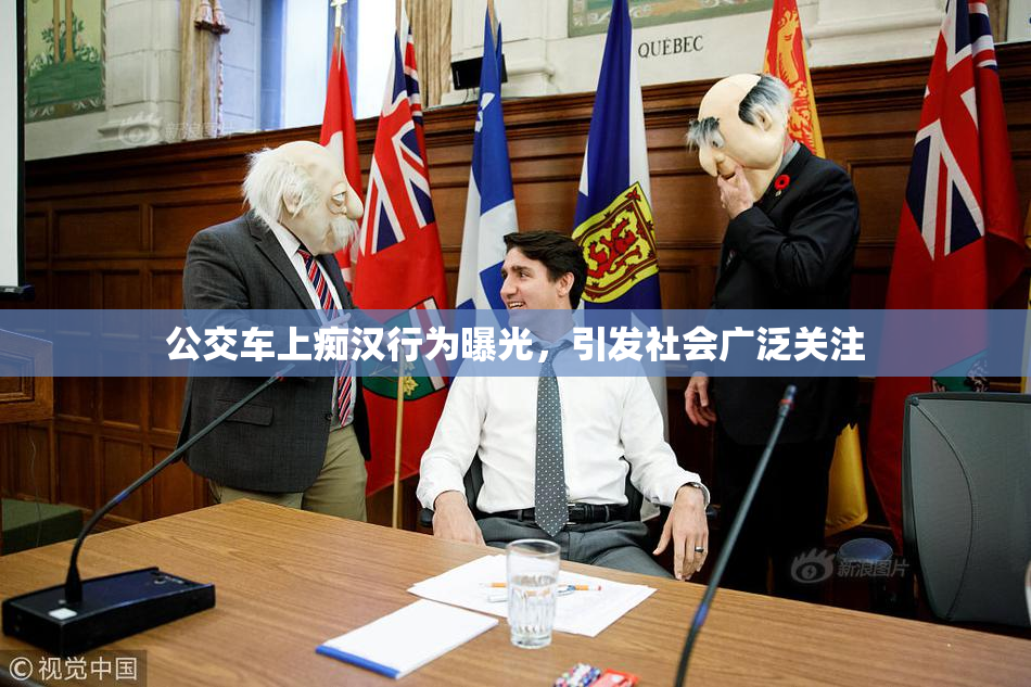 公交车上痴汉行为曝光，引发社会广泛关注