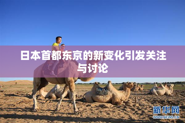 日本首都东京的新变化引发关注与讨论