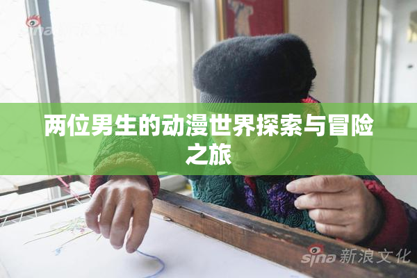 两位男生的动漫世界探索与冒险之旅