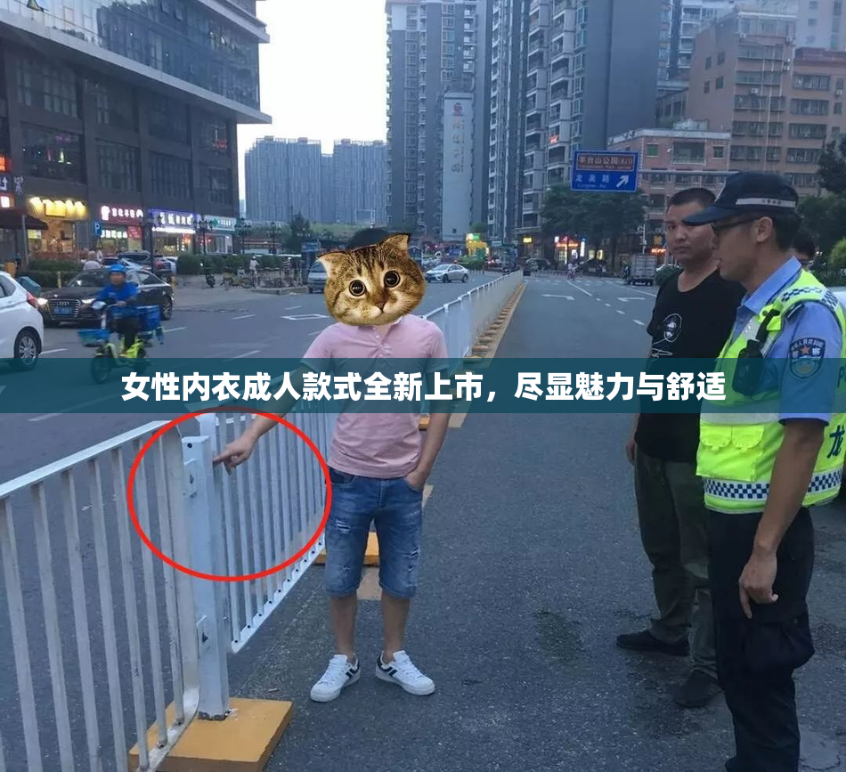 女性内衣成人款式全新上市，尽显魅力与舒适