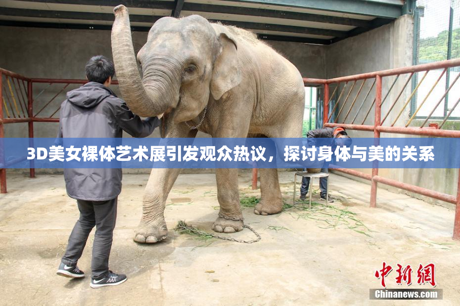 3D美女裸体艺术展引发观众热议，探讨身体与美的关系