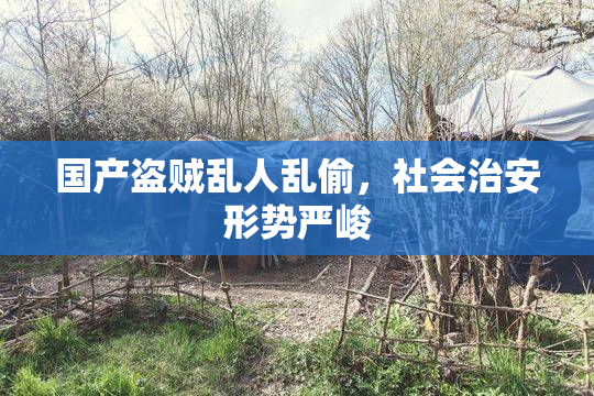 国产盗贼乱人乱偷，社会治安形势严峻