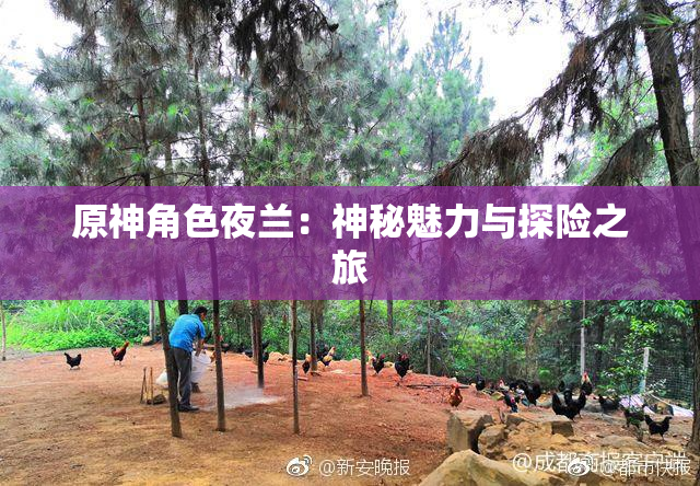 原神角色夜兰：神秘魅力与探险之旅