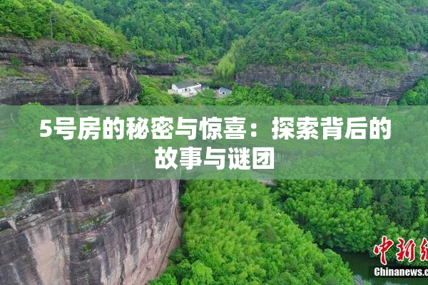 5号房的秘密与惊喜：探索背后的故事与谜团
