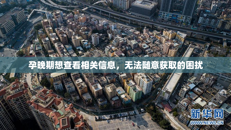 孕晚期想查看相关信息，无法随意获取的困扰