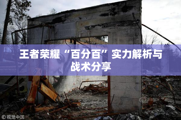 王者荣耀“百分百”实力解析与战术分享