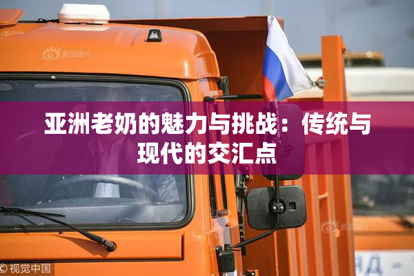 亚洲老奶的魅力与挑战：传统与现代的交汇点