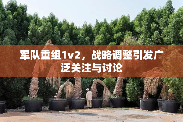 军队重组1v2，战略调整引发广泛关注与讨论