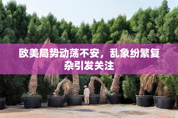 欧美局势动荡不安，乱象纷繁复杂引发关注