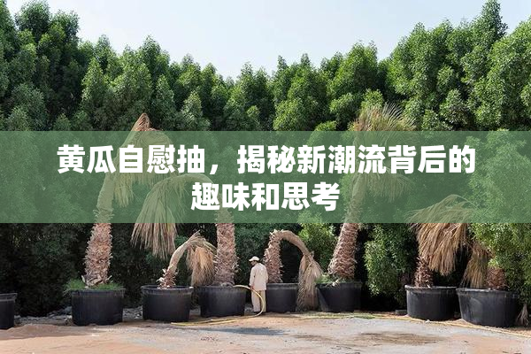黄瓜自慰抽，揭秘新潮流背后的趣味和思考