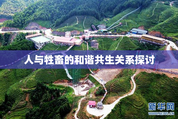 人与牲畜的和谐共生关系探讨