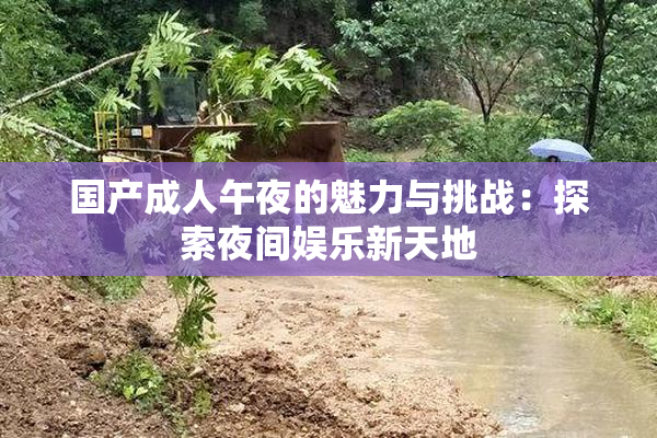 国产成人午夜的魅力与挑战：探索夜间娱乐新天地
