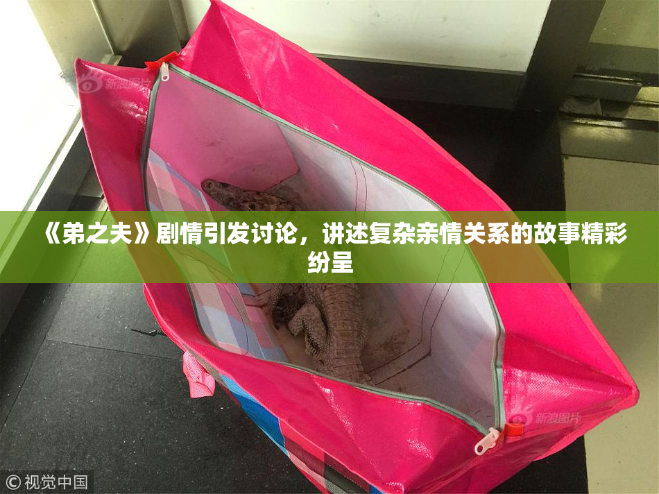 《弟之夫》剧情引发讨论，讲述复杂亲情关系的故事精彩纷呈