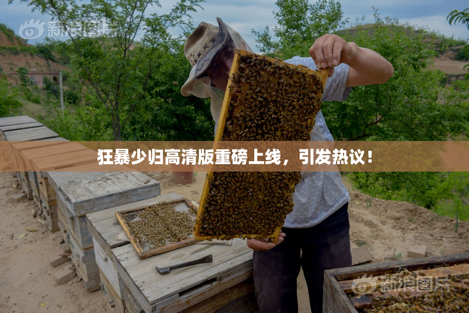 狂暴少归高清版重磅上线，引发热议！