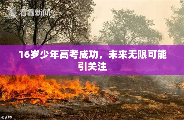 16岁少年高考成功，未来无限可能引关注