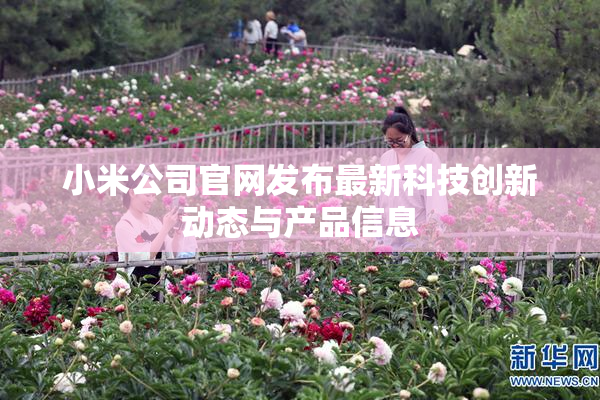 小米公司官网发布最新科技创新动态与产品信息