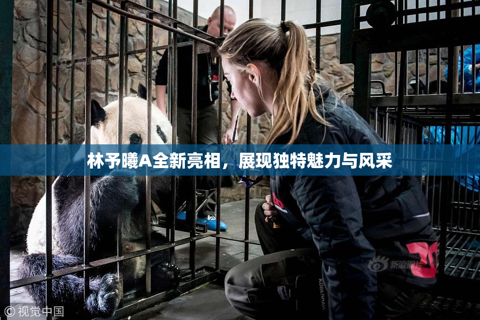 林予曦A全新亮相，展现独特魅力与风采