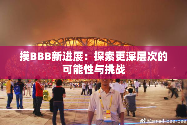 摸BBB新进展：探索更深层次的可能性与挑战