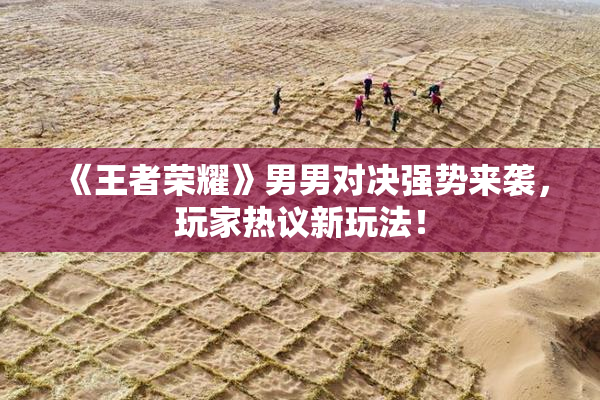 《王者荣耀》男男对决强势来袭，玩家热议新玩法！