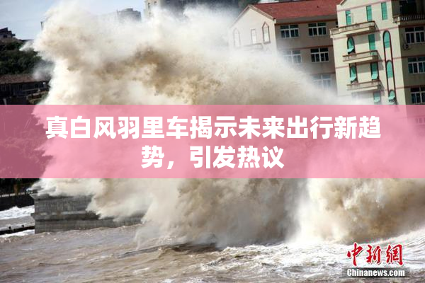 真白风羽里车揭示未来出行新趋势，引发热议