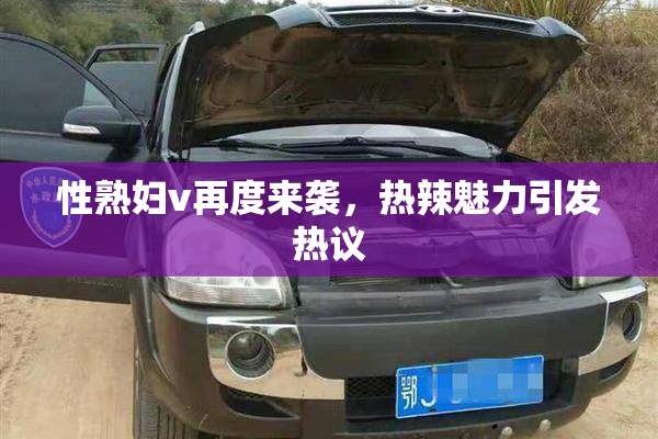 性熟妇v再度来袭，热辣魅力引发热议