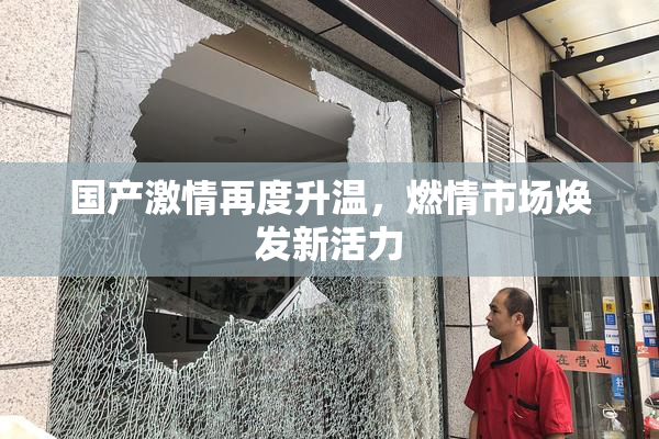 国产激情再度升温，燃情市场焕发新活力