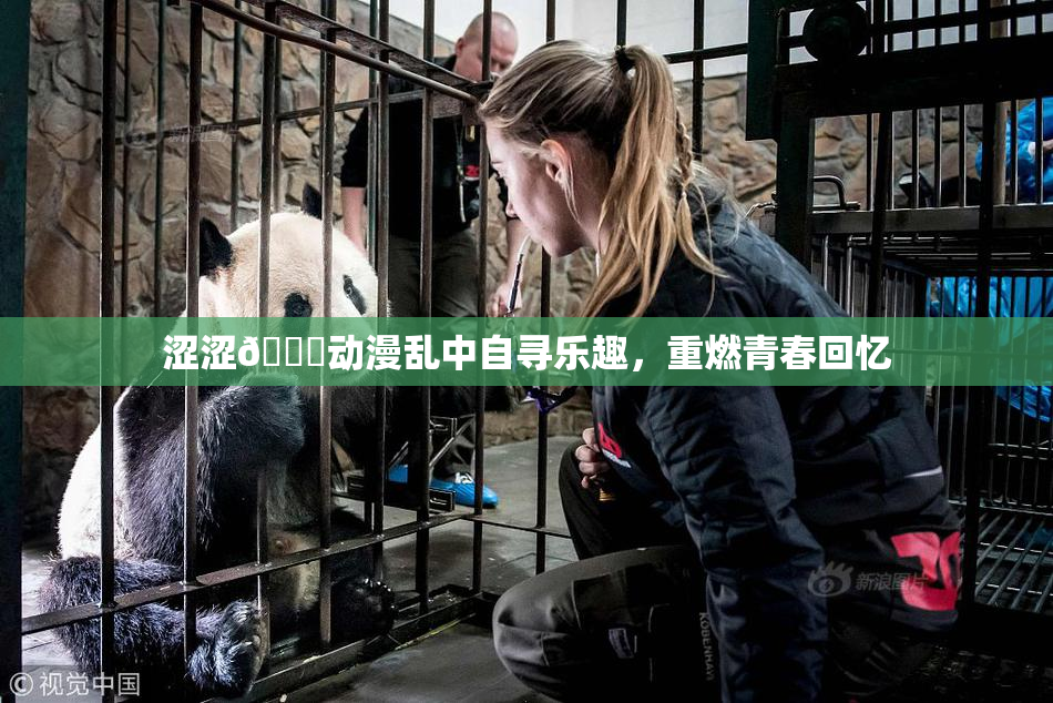 涩涩🔞动漫乱中自寻乐趣，重燃青春回忆