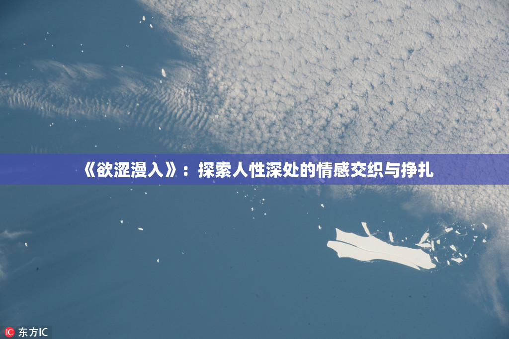 《欲涩漫入》：探索人性深处的情感交织与挣扎