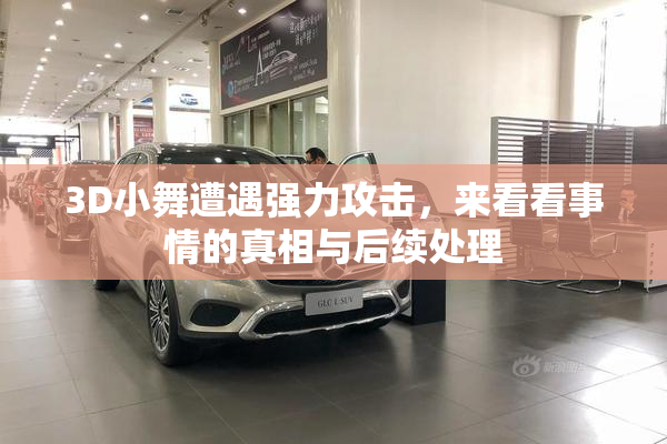 3D小舞遭遇强力攻击，来看看事情的真相与后续处理