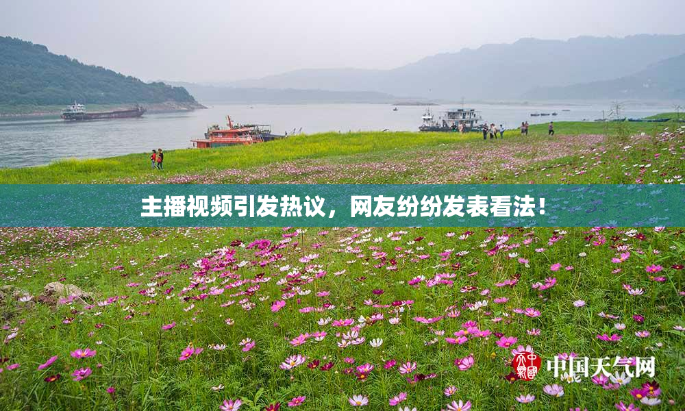 主播视频引发热议，网友纷纷发表看法！