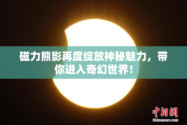 磁力熊影再度绽放神秘魅力，带你进入奇幻世界！