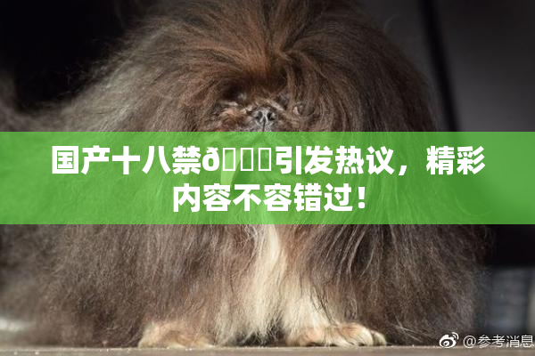 国产十八禁🔞引发热议，精彩内容不容错过！