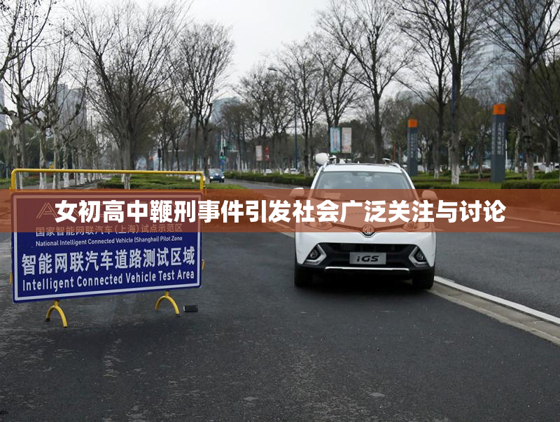 女初高中鞭刑事件引发社会广泛关注与讨论