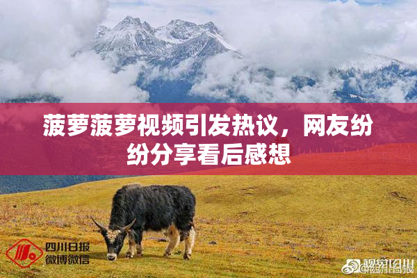 菠萝菠萝视频引发热议，网友纷纷分享看后感想