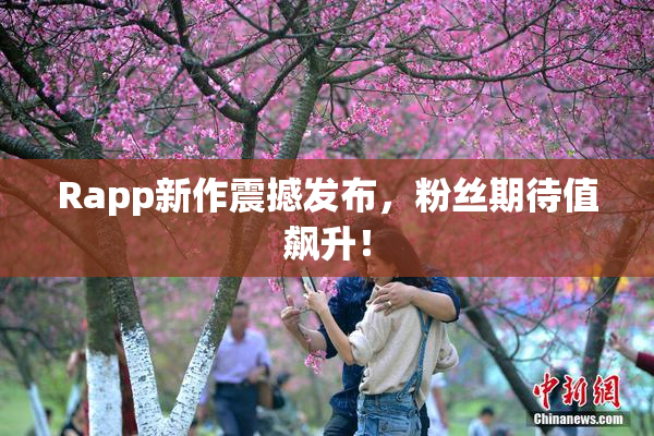 Rapp新作震撼发布，粉丝期待值飙升！