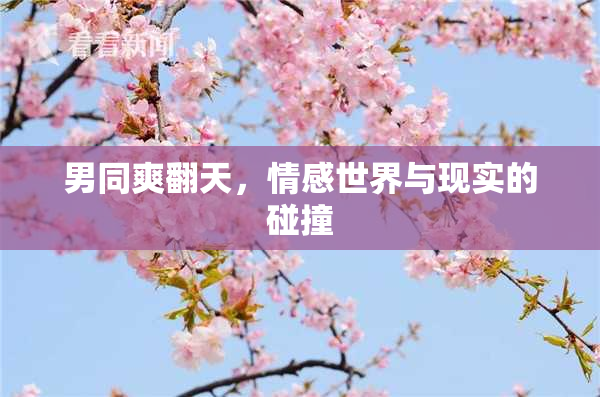 男同爽翻天，情感世界与现实的碰撞