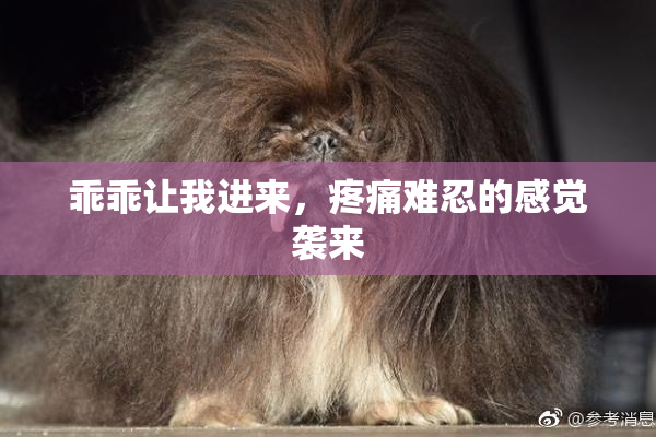 乖乖让我进来，疼痛难忍的感觉袭来