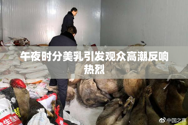 午夜时分美乳引发观众高潮反响热烈