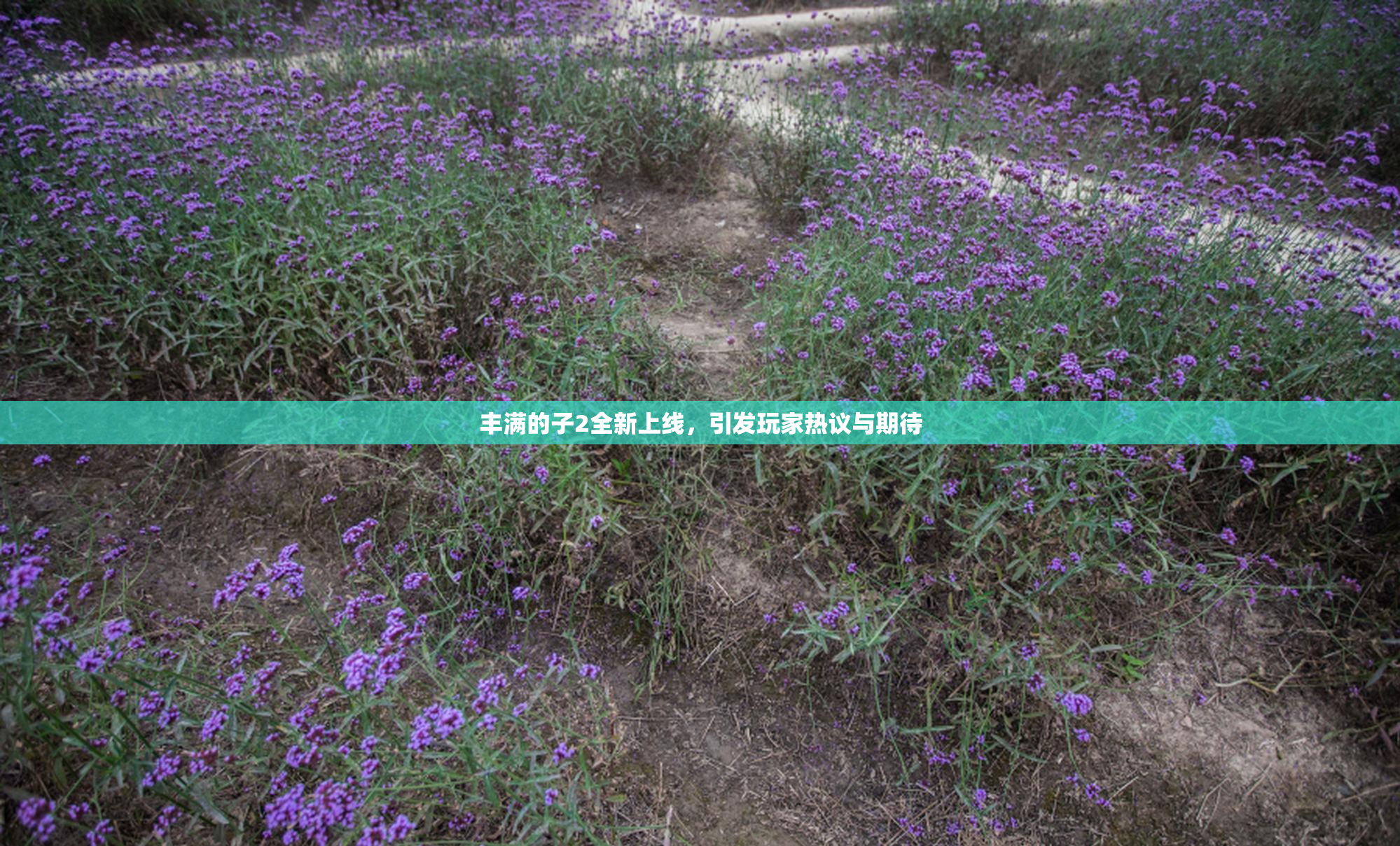 丰满的子2全新上线，引发玩家热议与期待