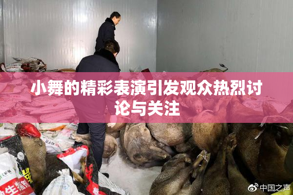小舞的精彩表演引发观众热烈讨论与关注