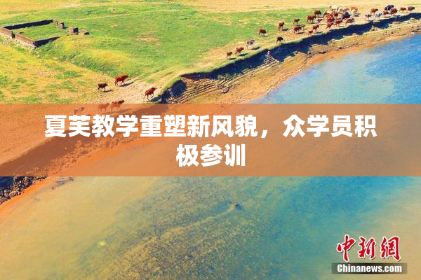 夏芙教学重塑新风貌，众学员积极参训