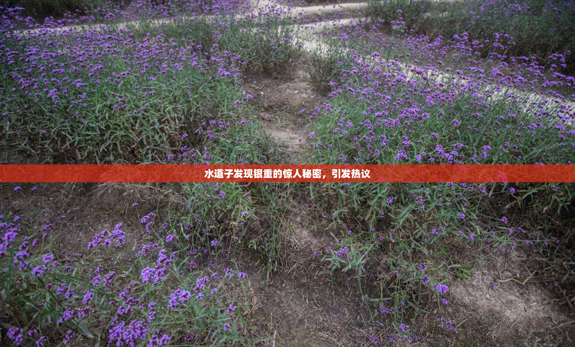 水道子发现银重的惊人秘密，引发热议