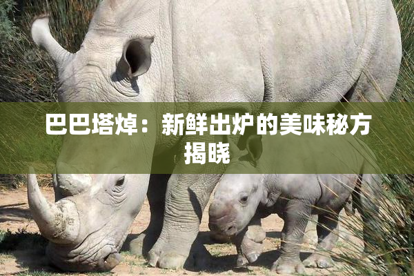 巴巴塔焯：新鲜出炉的美味秘方揭晓