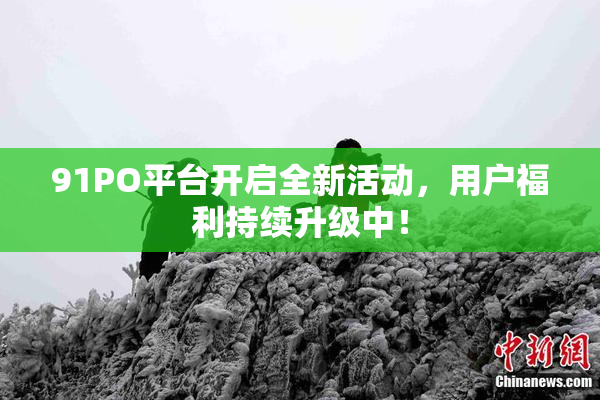 91PO平台开启全新活动，用户福利持续升级中！