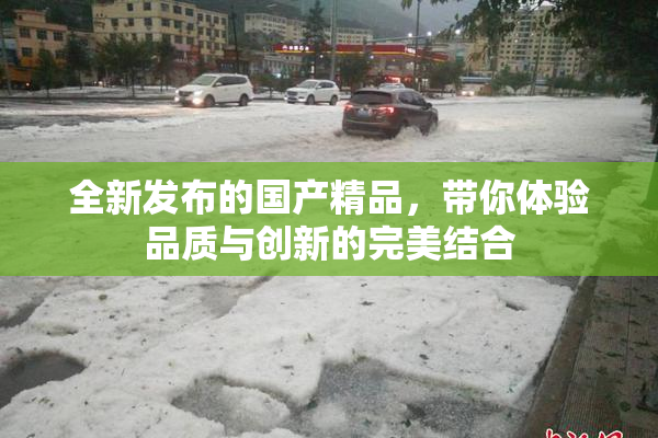 全新发布的国产精品，带你体验品质与创新的完美结合