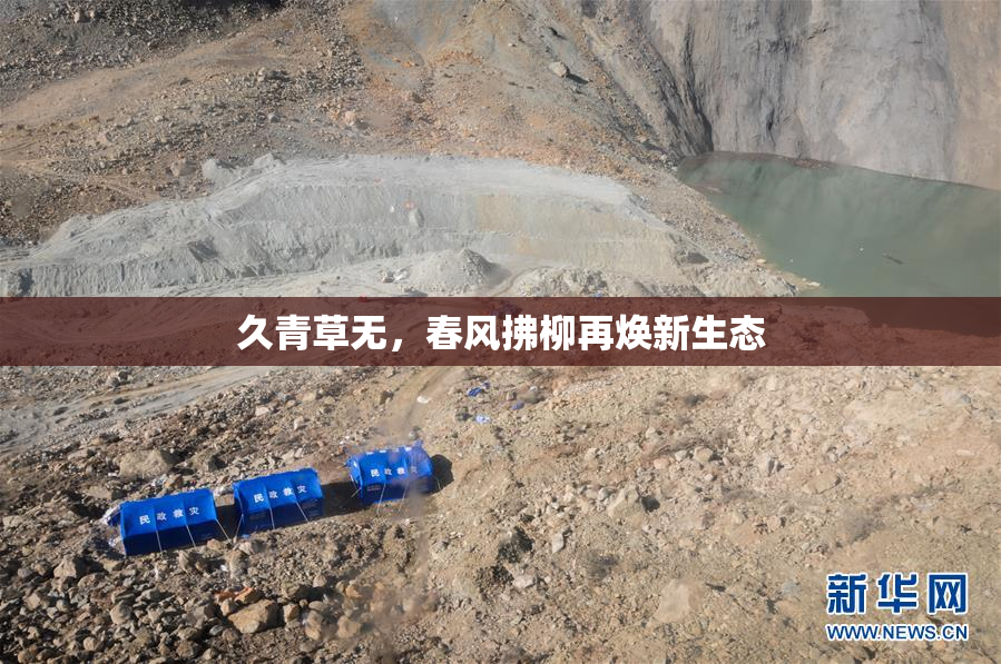 久青草无，春风拂柳再焕新生态