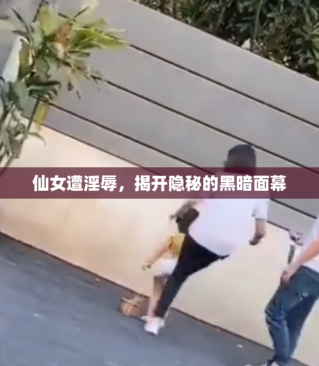 仙女遭淫辱，揭开隐秘的黑暗面幕